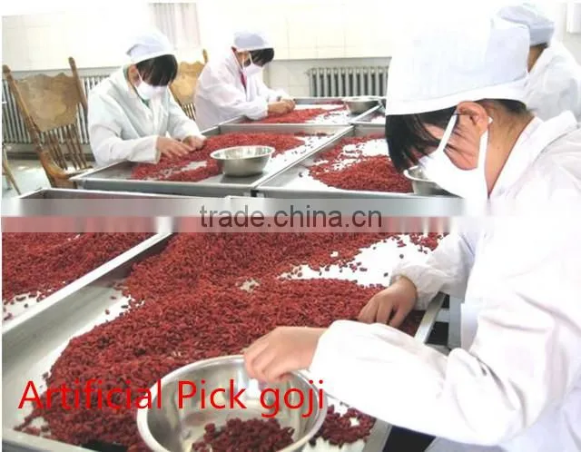 Goji Berry farm sale 380g/50