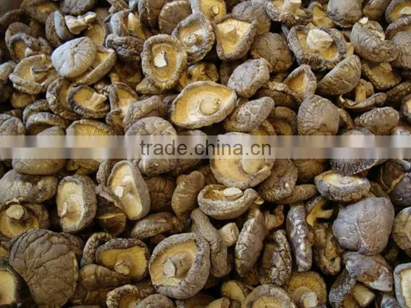 Whole dried shiitake mushroom 1kg 4-6cm
