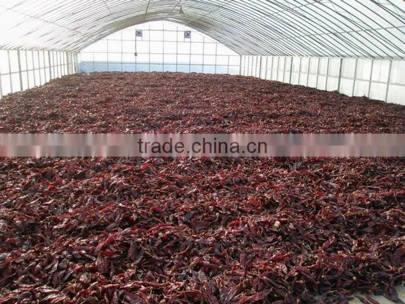 New paprika pods