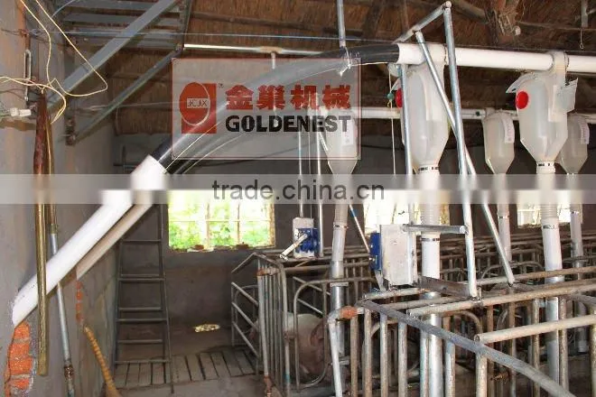 pig equipment pig feeders