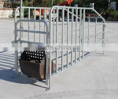 Goldenest Piggery Gestation Crate for pigs Galvanized single stall for sows