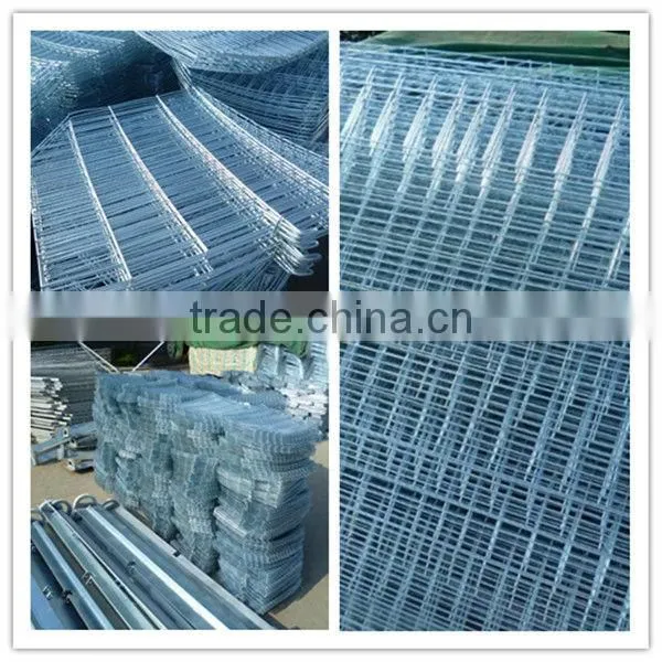 layer chicken poultry house
