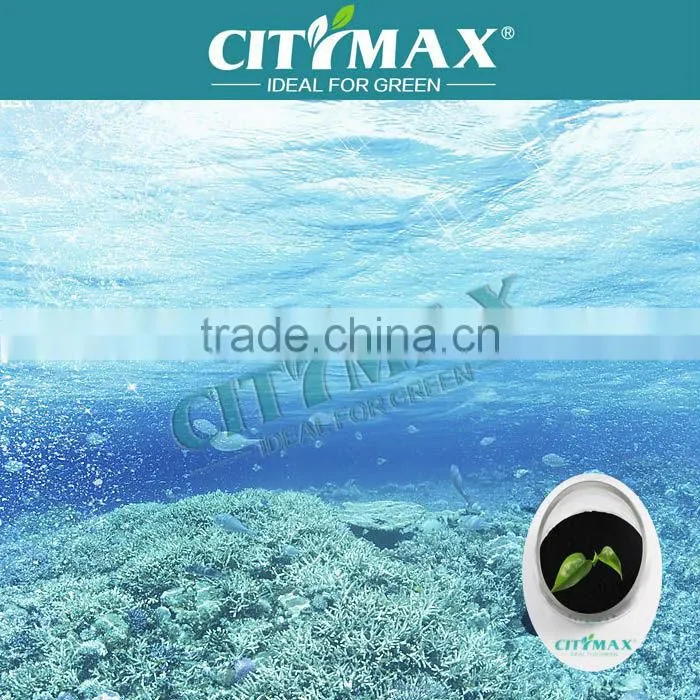 Fine brown seaweed powder