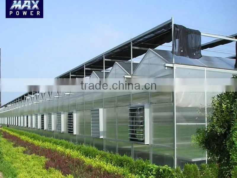 Glass greenhouses with inside shading screen
