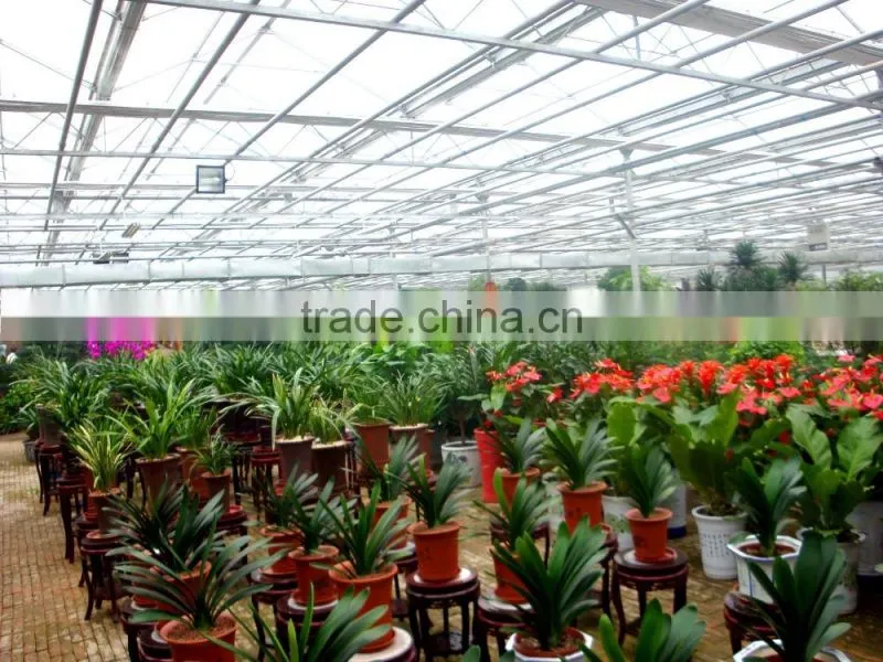 Vegetable Greenhouses With Exhaust Fan