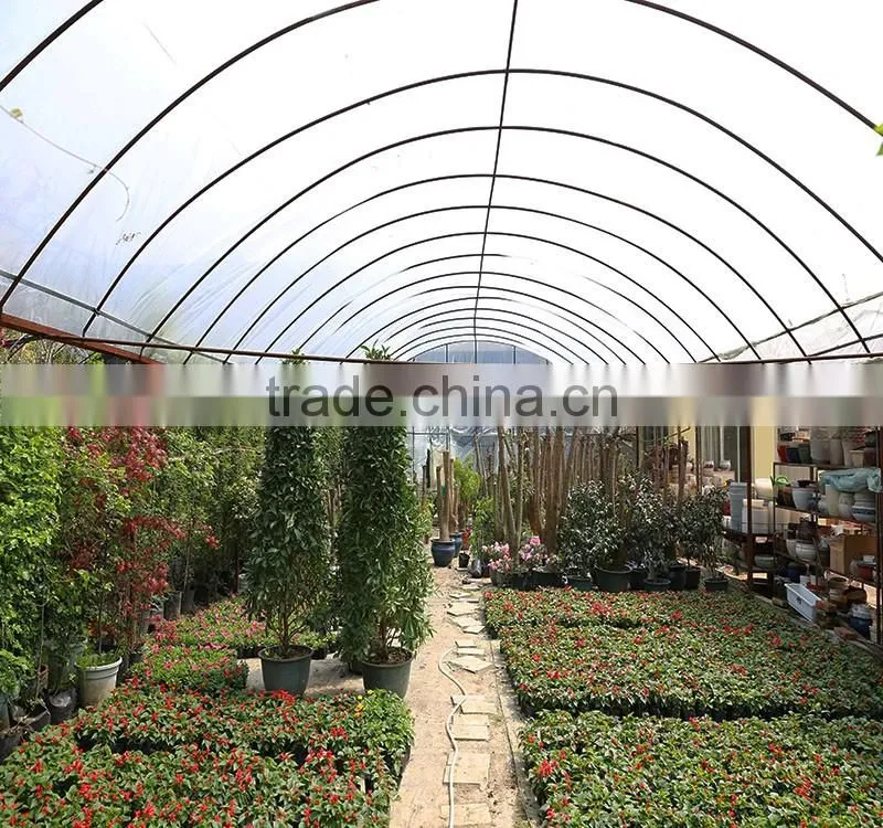 One Stop Grande Greenhouse Type Multi Span Plastic Film Commercial Greenhouse for Sale