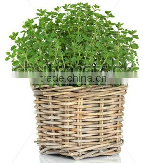 wicker plant baskets as home garden decor from manufacturer
