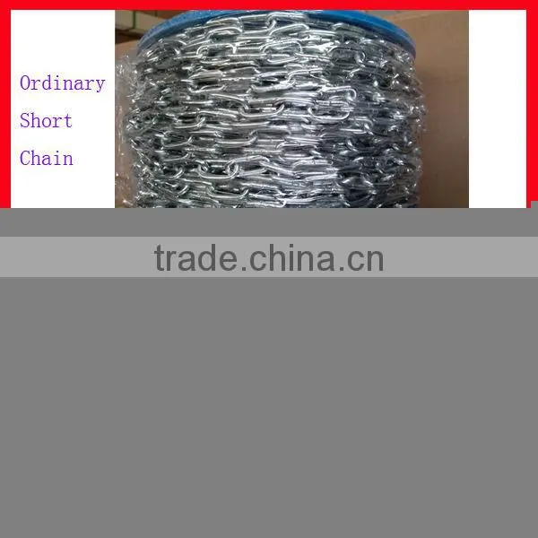 High Quality Electric Galvanized Swing chain
