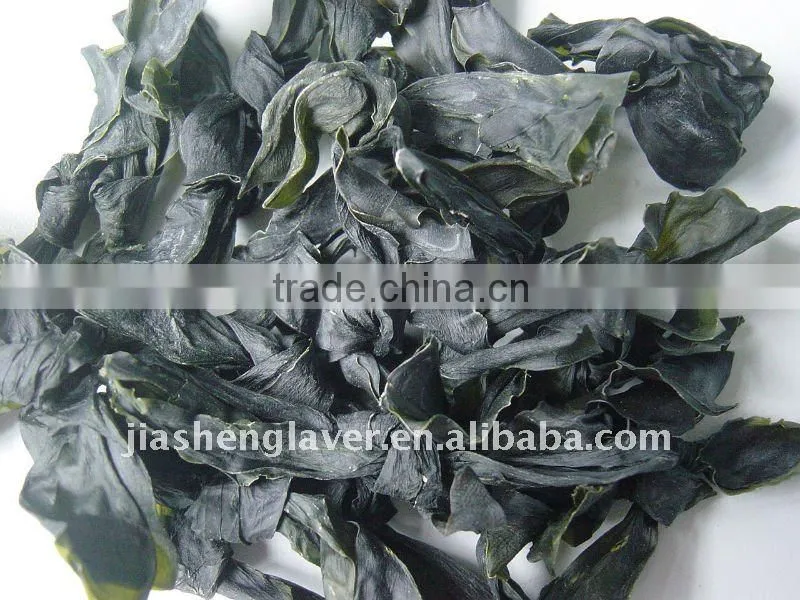 Low Calorie Food Salad Seaweed Kelp