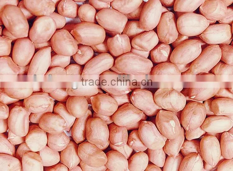 Chinese roasted peanut inshell