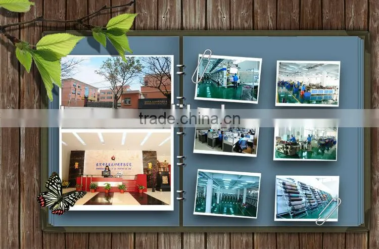 2013 new design food snacks bag form TZC printing company