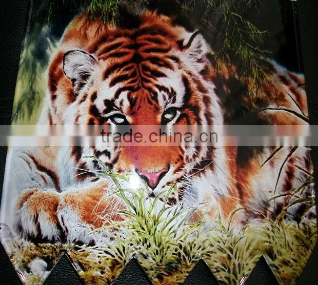 shoe-pad UV printing machine, insole UV printing machine with CISS system price & manufacturer