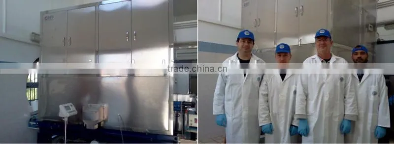 Guangzhou CBFI Cube Ice Machine 5 MT in 24 hrs deliver to Cebu, Philippines