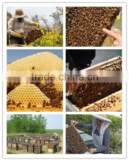 EOS & NOP Certified Organic Beeswax for Cosmetics