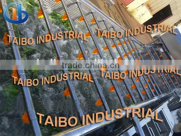 food machinery manufacturer washer type fruits and vegetables washing equipment