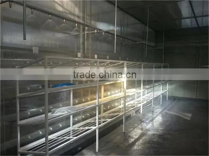 Led Flood Light COB IP 65 150W 180W 210W 240W