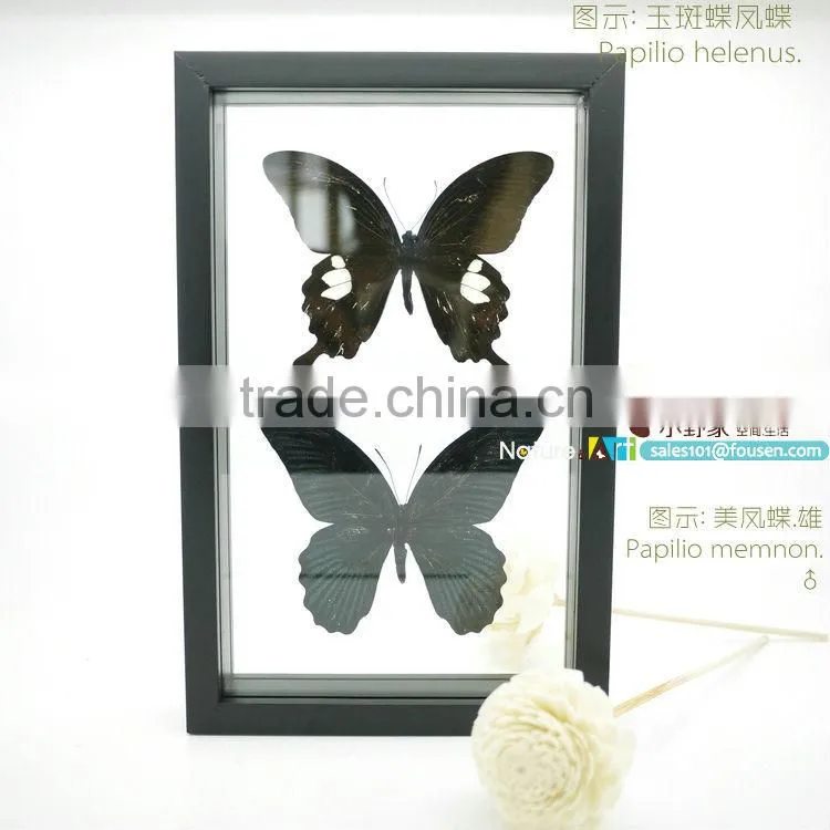 FOUSEN(043) Nature& Art natural species handmade photo frames designs
