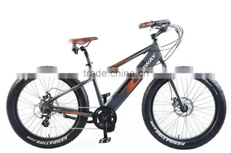26 Inch 36V 500W Cool Moutain Type Snow Bike With Fat Tyre e-bike