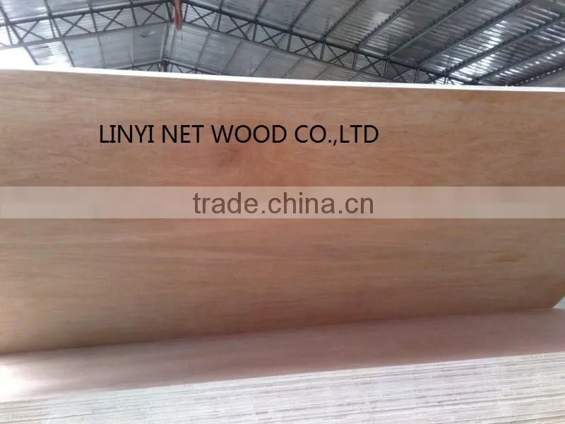 Okoume/Bintangor/Poplar/Birch Commercial Plywood /Marine