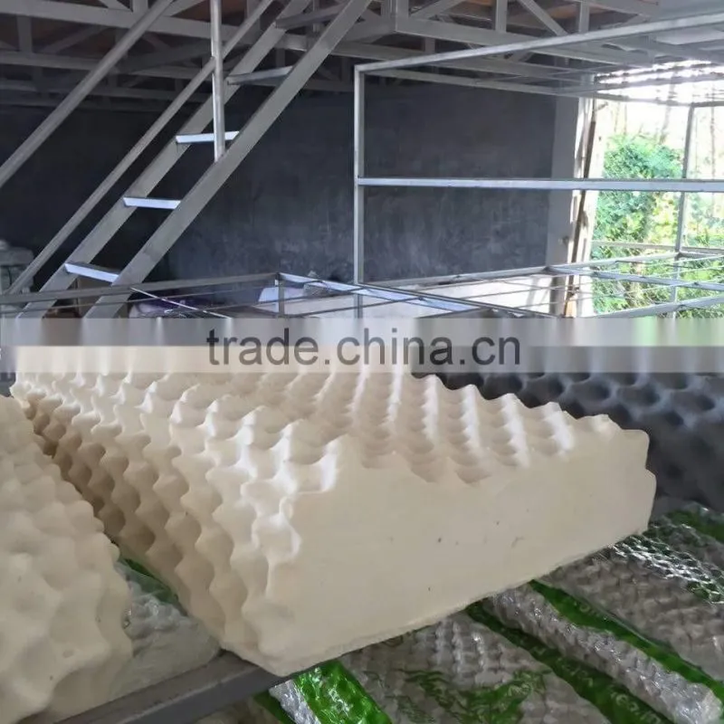 Natural Latex Pillow Thailand