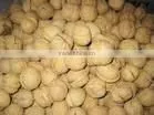 walnut
