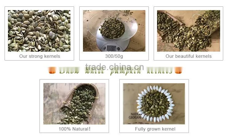 raw dried snow white pumpkin kernel