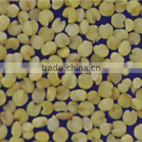 rice color sorting machinery