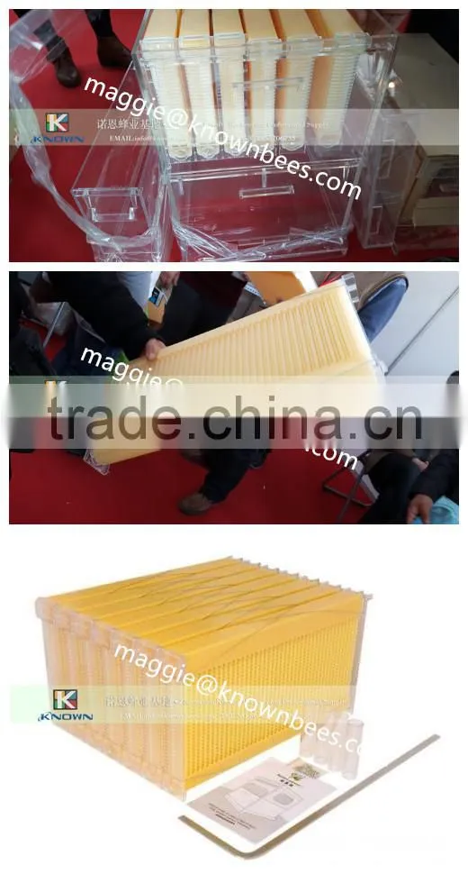 plastic beehive frame beehive box/bee box for apiculture plastic beehive frame