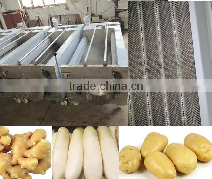 home vegetable washing machine