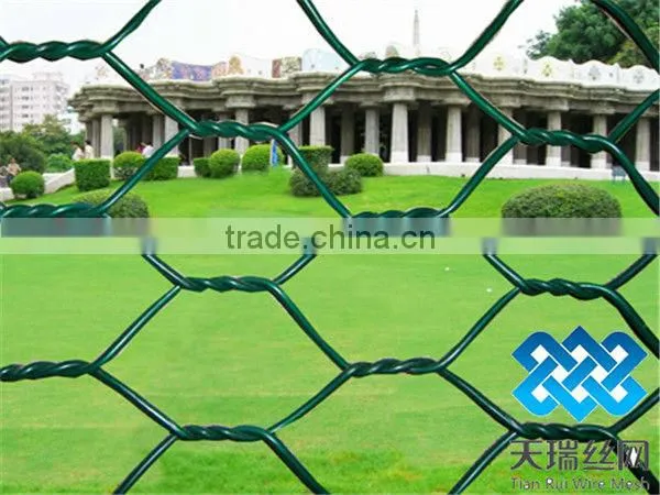 Galvanized and pvc coated Hexagonal Chicken Wire Mesh (Since 1989,ISO)