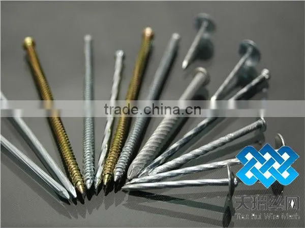 Nail/wire nail/common nails