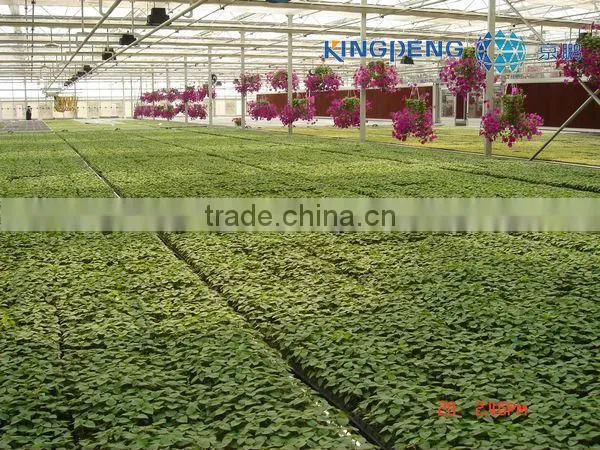 Greenhouse for Growing Flowers