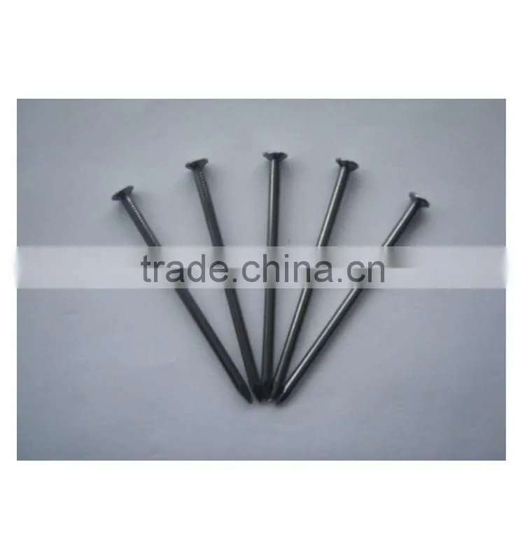 Best selling Polished Common Nails with Loose Package from china supplier