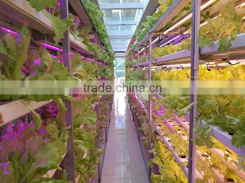 Best seller 20w led grow tube growing led light use in amsterdam
