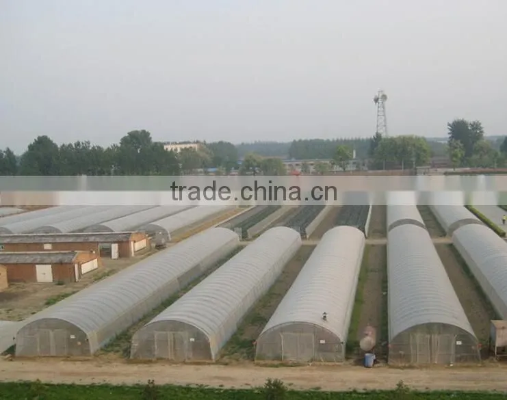 New style single span tunnel greenhouse for sale