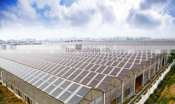 products 2016 Steel Frame steel solar greenhouses