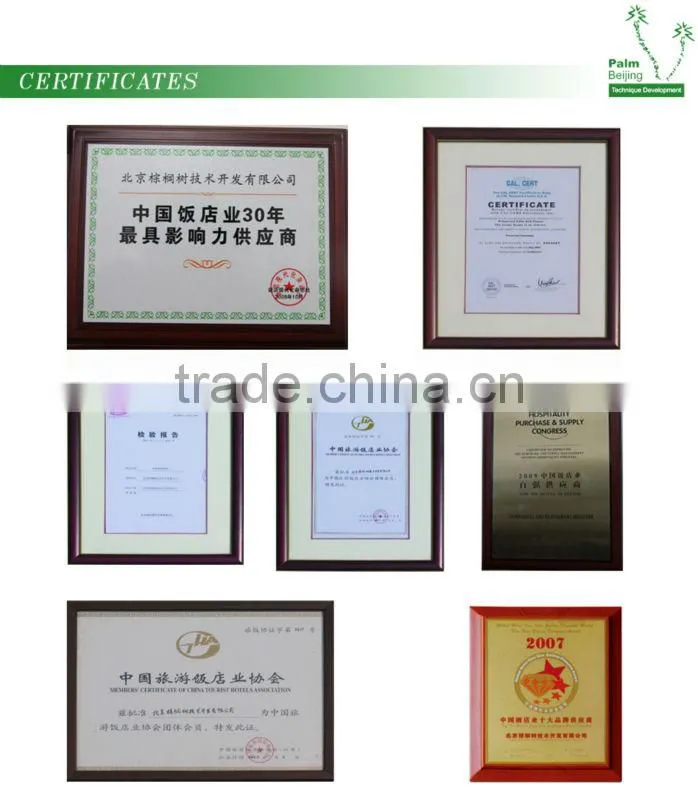 Factory price artificial Silver Brich Tree