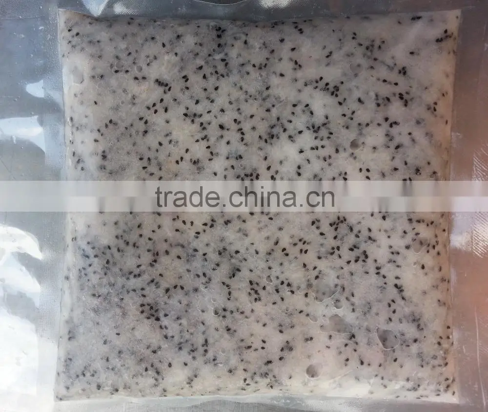 Dried Dragon Fruit from Vietnam/ Organic Dragon Fruit