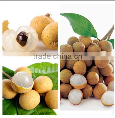 Longan Fruit