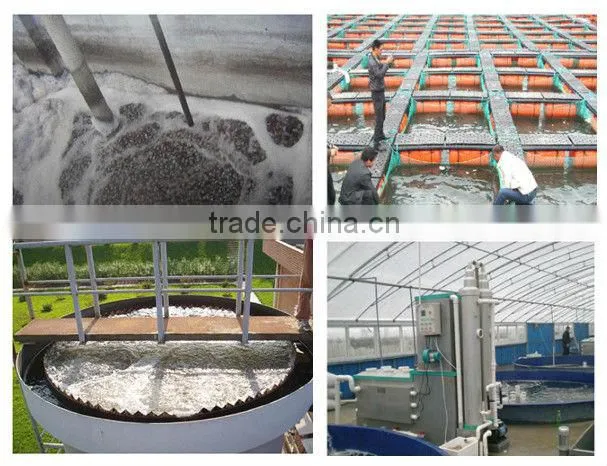 bio media used in MBBR PE bio cell/pond filter media