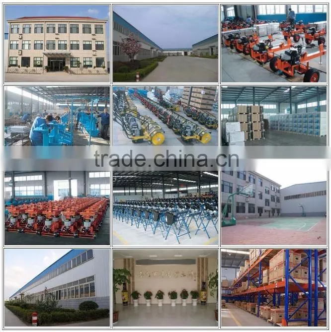 hot sell gasoline/petrol turf sweeper
