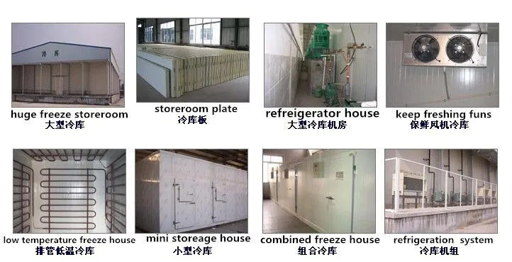 500T Cold Storage Warehouse for Storing Perishable Products