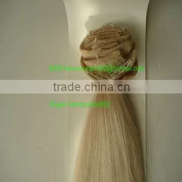 PROFESSIONAL remy hair extension clips