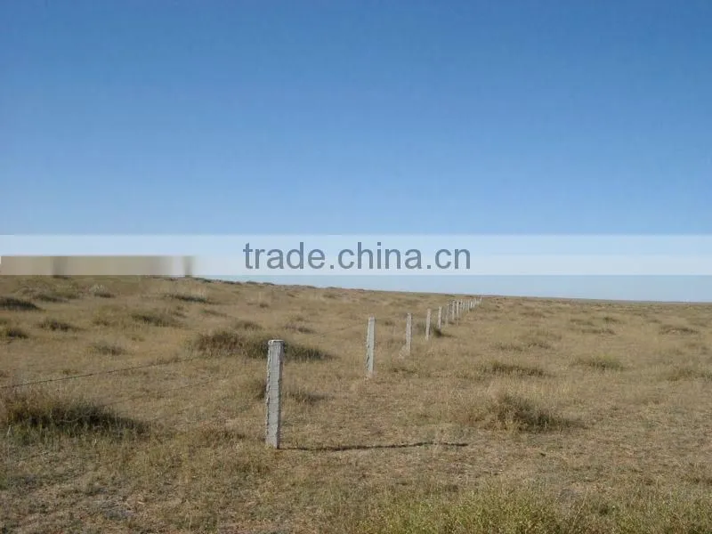 Field Fence/grassland fencing/cow fence