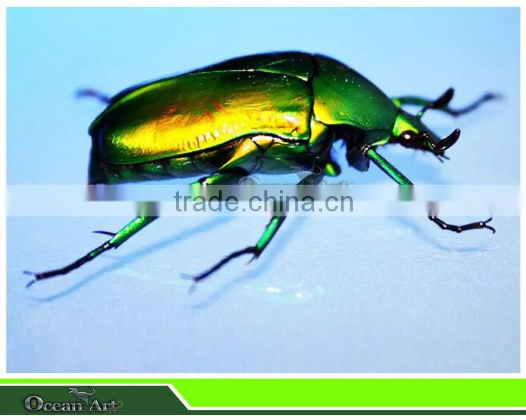 2014 new products palyground insects