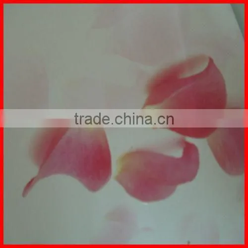 White Custom Gift Magnet For Packaging Box