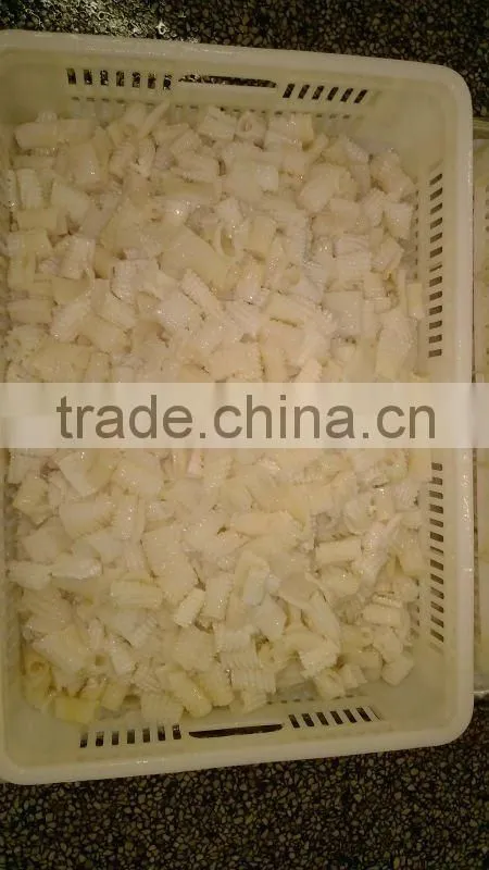 squid flower hot sale