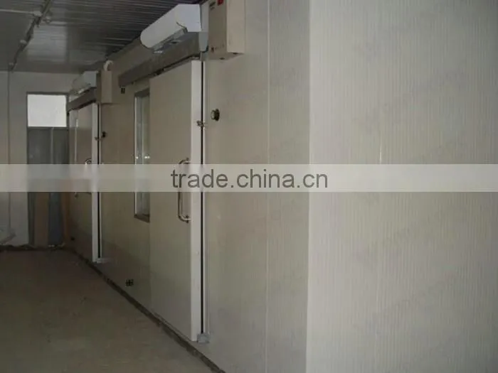Commercial seafood meat cold room cold drink freezer