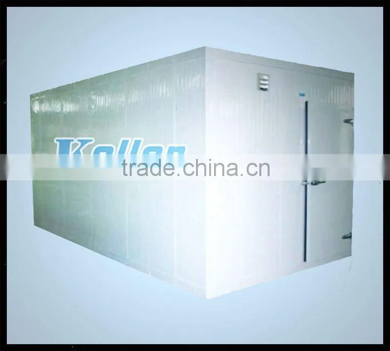 Small Cold Room to store ice