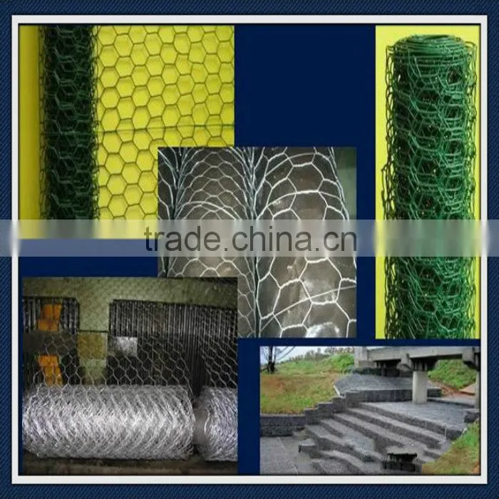 Stainless Steel Hexagonal Wire Netting/fence netting/weaving wire netting/hexagonal wire mesh/Stainless Steel wire mesh